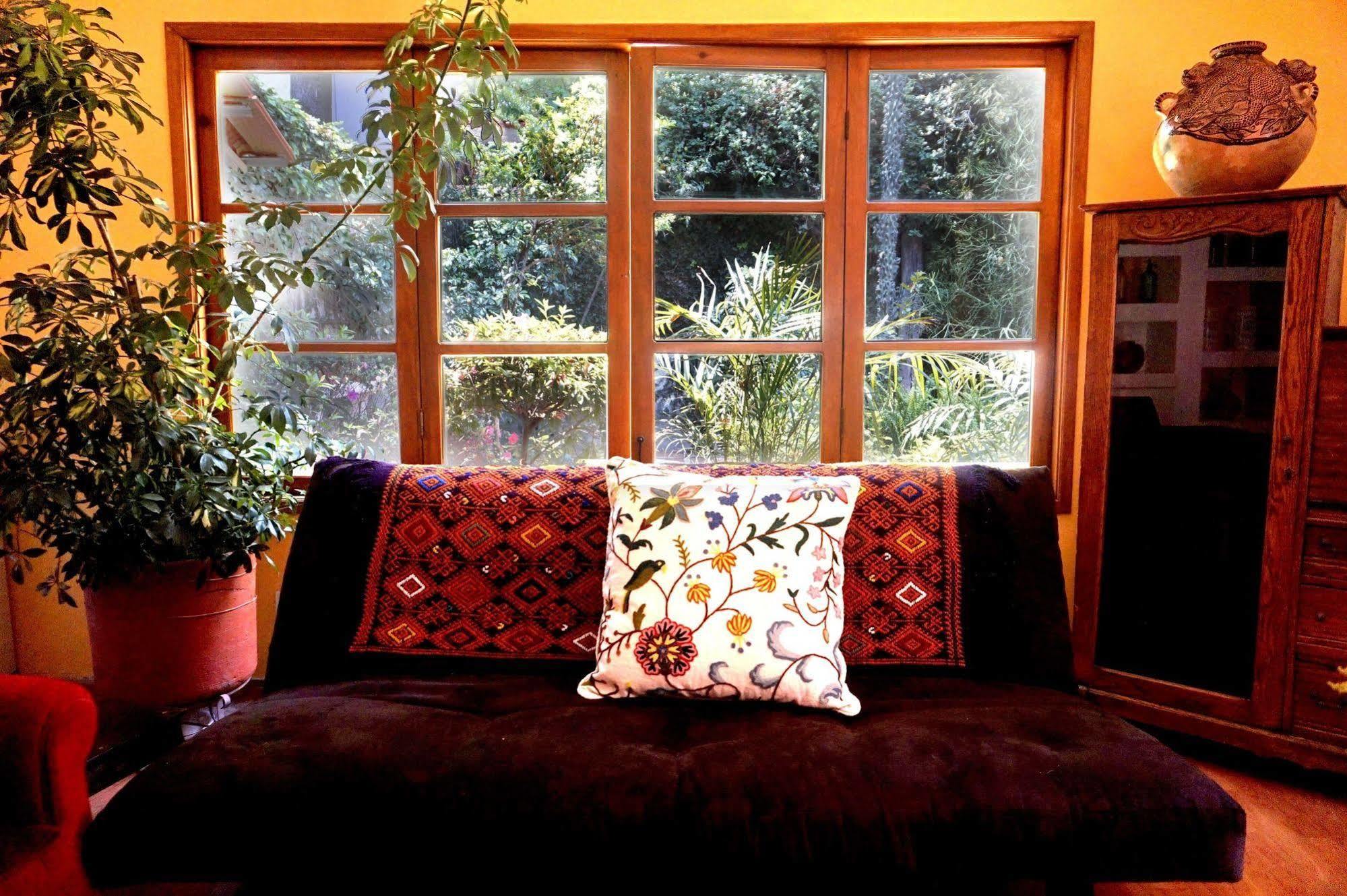 Casa Jacinta Guest House Mexico City Ngoại thất bức ảnh
